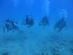 Hawaii Scuba divng 52