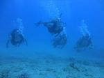 Hawaii Scuba divng 53