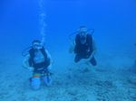 Hawaii Scuba divng 54