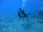 Hawaii Scuba divng 05