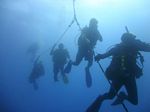 Hawaii Scuba divng 11