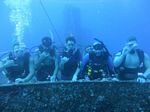 Hawaii Scuba divng 13