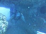 Hawaii Scuba divng 16