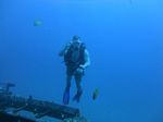 Hawaii Scuba divng 19