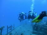 Hawaii Scuba divng 20