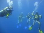 Hawaii Scuba divng 34