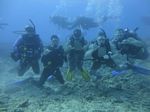 Hawaii Scuba divng 36