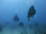 Hawaii Scuba divng 37