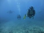 Hawaii Scuba divng 38