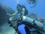 Hawaii Scuba divng 51