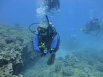 Hawaii Scuba divng 54