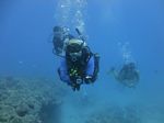 Hawaii Scuba divng 56