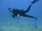 Hawaii Scuba divng 62