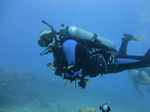 Hawaii Scuba divng 65