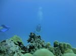 Hawaii Scuba divng 66