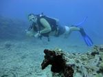 Hawaii Scuba divng 67