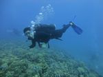 Hawaii Scuba divng 68