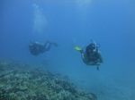 Hawaii Scuba divng 69