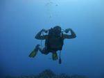 Hawaii Scuba divng 71