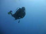 Hawaii Scuba divng 73