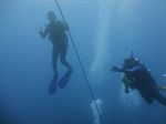 Hawaii Scuba divng 79