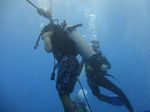 Hawaii Scuba divng 80