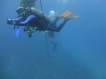 Hawaii Scuba divng 81