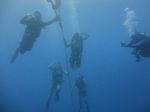 Hawaii Scuba divng 82