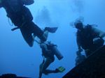 Hawaii Scuba divng 13