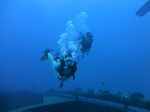 Hawaii Scuba divng 15