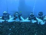 Hawaii Scuba divng 18