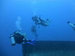 Hawaii Scuba divng 19