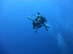 Hawaii Scuba divng 21