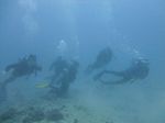 Hawaii Scuba divng 35