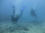 Hawaii Scuba divng 36