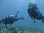 Hawaii Scuba divng 37