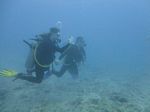 Hawaii Scuba divng 38