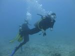 Hawaii Scuba divng 39