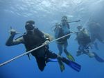 Hawaii Scuba divng 03