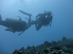 Hawaii Scuba divng 44