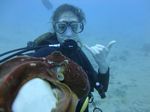 Hawaii Scuba divng 52