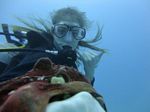 Hawaii Scuba divng 53
