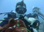 Hawaii Scuba divng 54