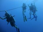 Hawaii Scuba divng 05