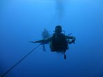 Hawaii Scuba divng 06