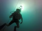 Hawaii Scuba divng 13