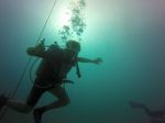 Hawaii Scuba divng 14