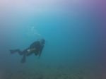 Hawaii Scuba divng 15