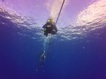 Hawaii Scuba divng 01