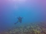 Hawaii Scuba divng 21